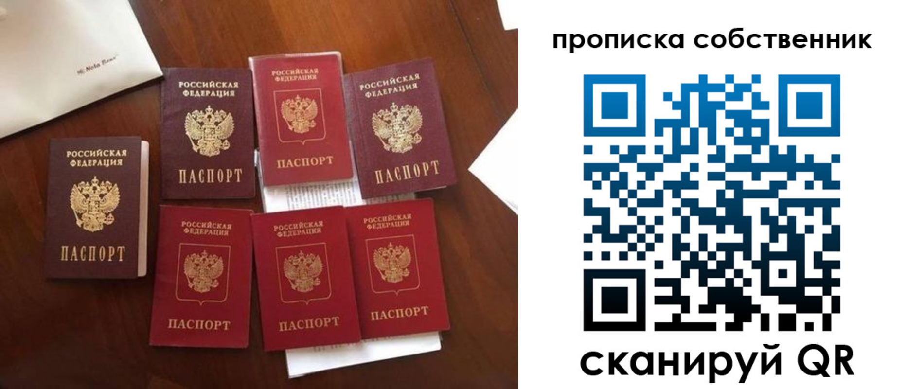 прописка для школы в Черепаново